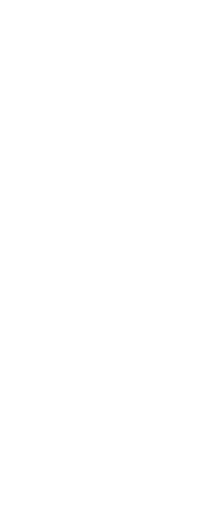 London-icon