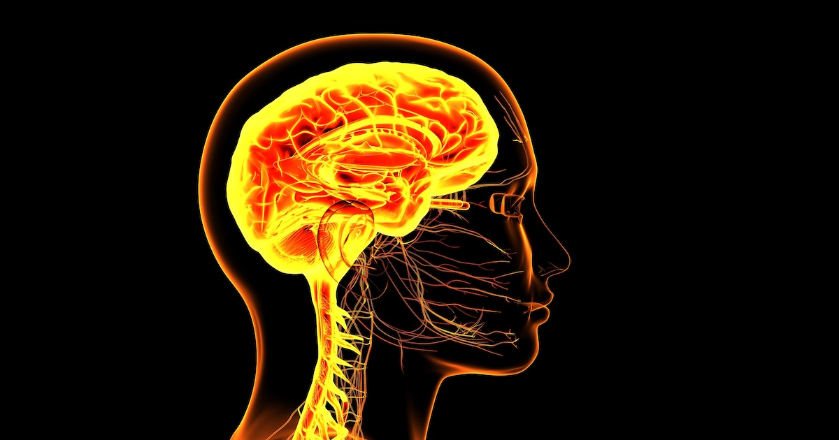 BRAIN Conference 2026